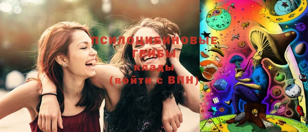 бошки Волоколамск
