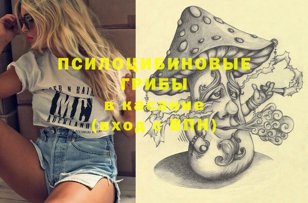 спиды Волосово