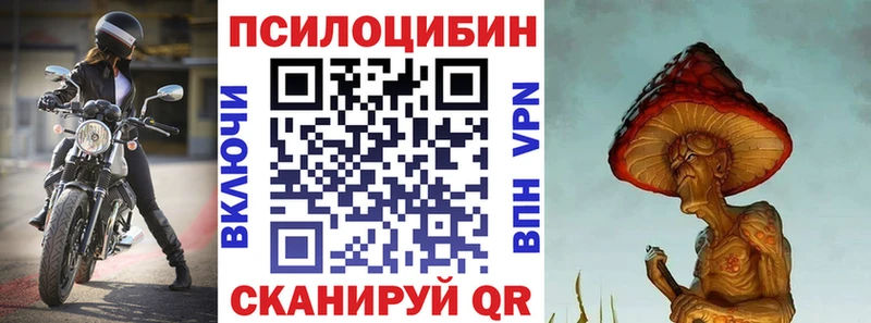купить цена Зея Галлюциногенные грибы Magic Shrooms